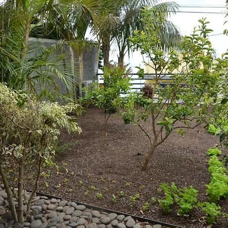Sea And Sun 4 You - Choupana House * Funchal (Madeira)